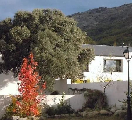 El Hotelito 3*