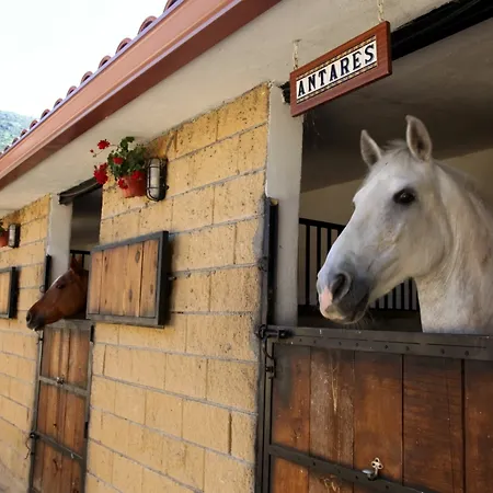 El Hotelito