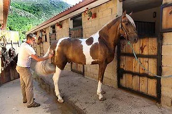 El Hotelito Отель